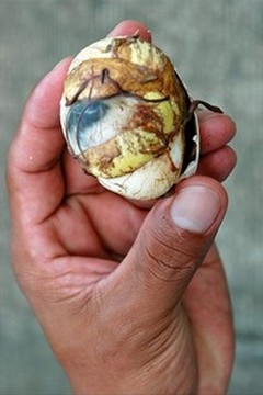 Balut